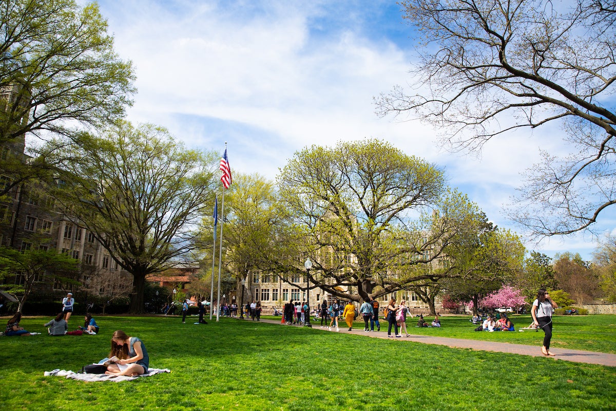 Students sitting on grass and walking on brick path