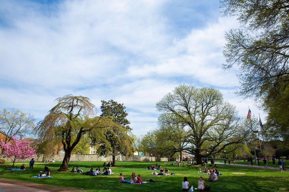 Students sitting on green grass below blooming trees and light clouds on blue sky
